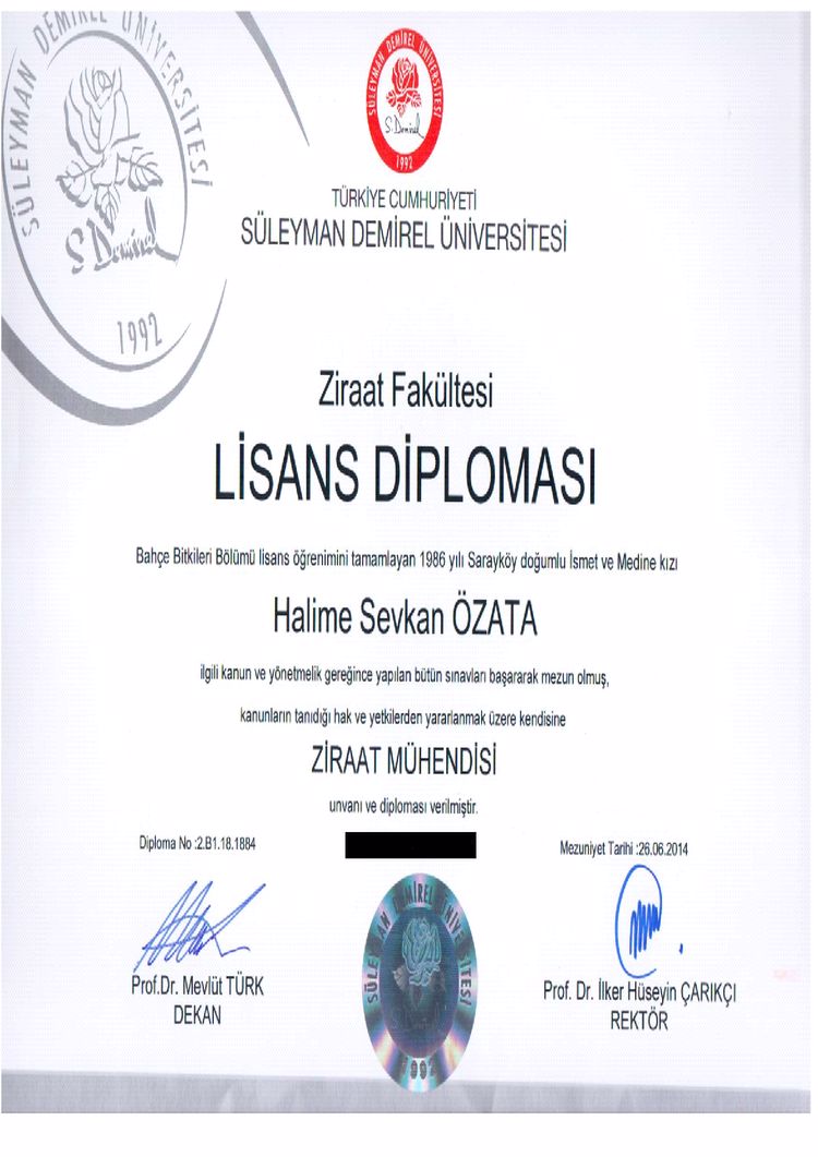 Buy college degree from the Süleyman Demirel Üniversitesi