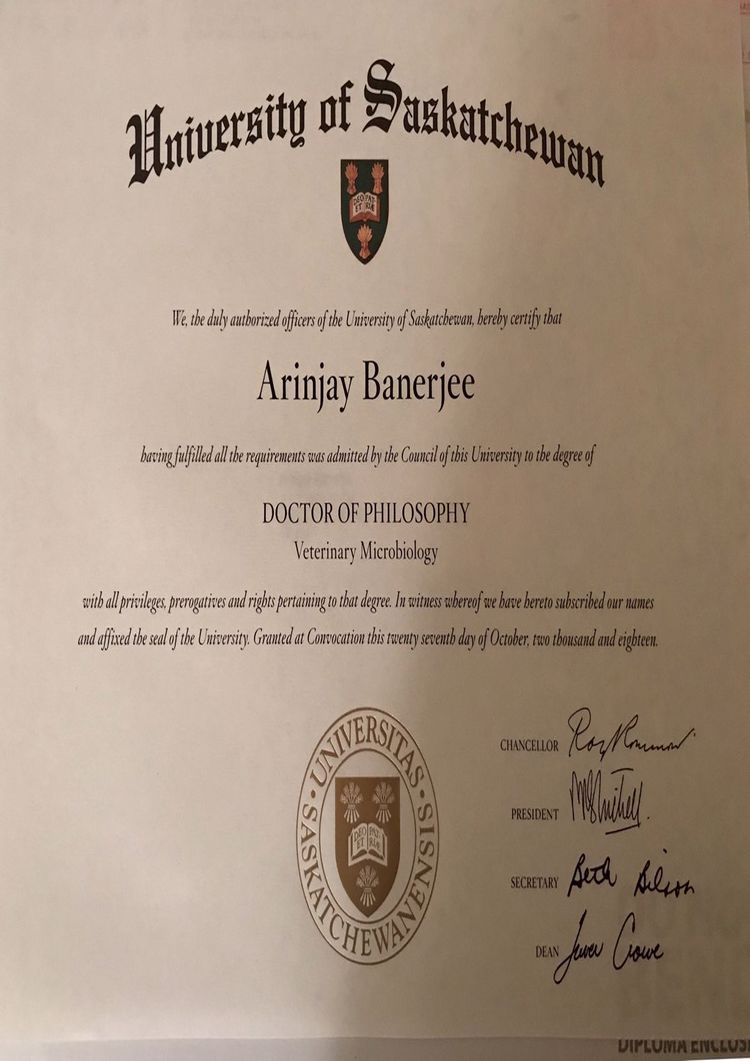 Buy college degree from The University of Saskatchewan