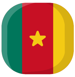 cameroon universities